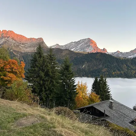 Mountains Spacious Nest *