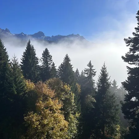 아파트 Mountains Spacious Nest 그리옹