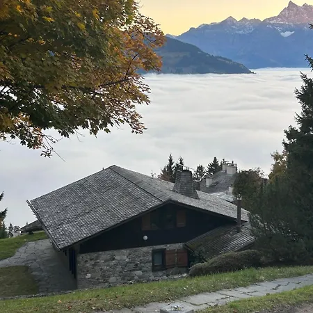 Mountains Spacious Nest *