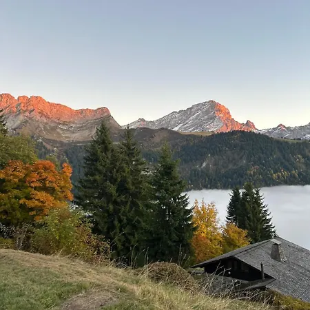 Mountains Spacious Nest